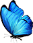 Environmental